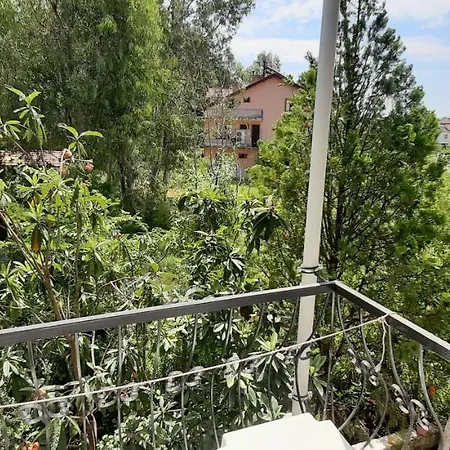 Tango Homestay