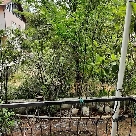 Tango Koycegiz (Mugla)
